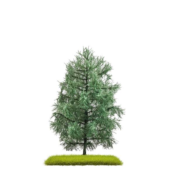 BUSCH 3802 - Tanne 140 mm