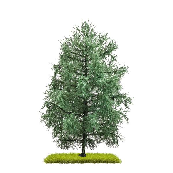 BUSCH 3803 - Tanne 210 mm