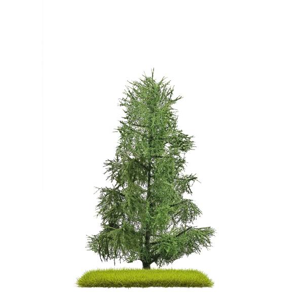 BUSCH 3806 - Fichte 140 mm