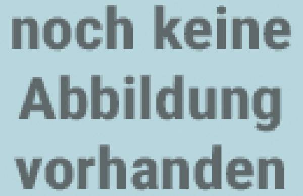 Weinert 8908 - Nietbänder für Rückseite der Wagner-Windleitbleche BR 03 und BR 41