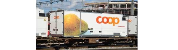 BEMO 2269125 - RhB Lb-v 7865 Tragwagen mit Coop-Container "Birne" BEMO 2269125 - RhB Lb-v 7865 Tragwagen mit Coop-Container "Birne"