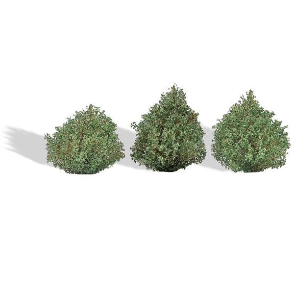 BUSCH 3607 - 3 Büsche, Sommer