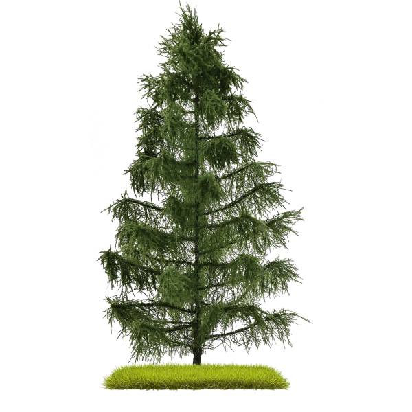 BUSCH 3807 - Fichte 210 mm