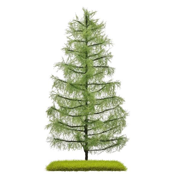 BUSCH 3813 - Lärche 210 mm, Sommer