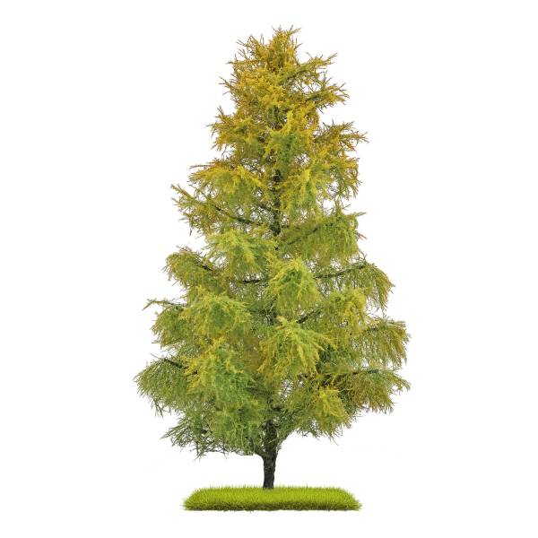 BUSCH 3817 - Lärche 210 mm, Spätsommer Zweifarbig