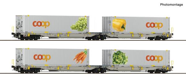 Roco 6600464 – 2-tlg. Set: Doppeltaschen-Gelenkwagen T2000, railCare