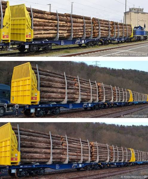 Sudexpress S4657005 - 3er Set Holztransportwagen Sggmrrs 90 'GigaWood' der innofreight