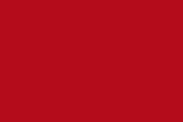 Weinert 26110 - Nitro-Acryl-Farbe RAL 3002 Karminrot Weinert 26110 - Nitro-Acryl-Farbe RAL 3002 Karminrot