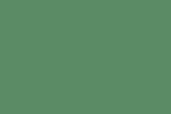 Weinert 2626 - Nitro-Acryl-Farbe RAL 6011 Resedagrün Weinert 2626 - Nitro-Acryl-Farbe RAL 6011 Resedagrün