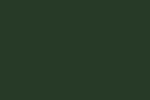 Weinert 2627 - Nitro-Acryl-Farbe RAL 6007 Flaschengrün Weinert 2627 - Nitro-Acryl-Farbe RAL 6007 Flaschengrün