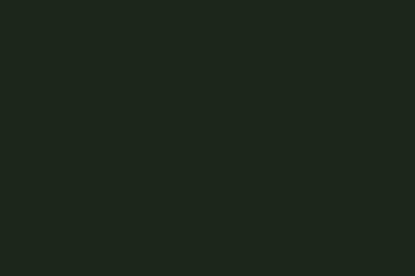 Weinert 2628 - Nitro-Acryl-Farbe RAL 6008 Preuß.grün Weinert 2628 - Nitro-Acryl-Farbe RAL 6008 Preuß.grün