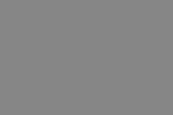Weinert 2648 - Nitro-Acryl-Farbe RAL 9007 Graualuminium 25 ml Weinert 2648 - Nitro-Acryl-Farbe RAL 9007 Graualuminium 25 ml