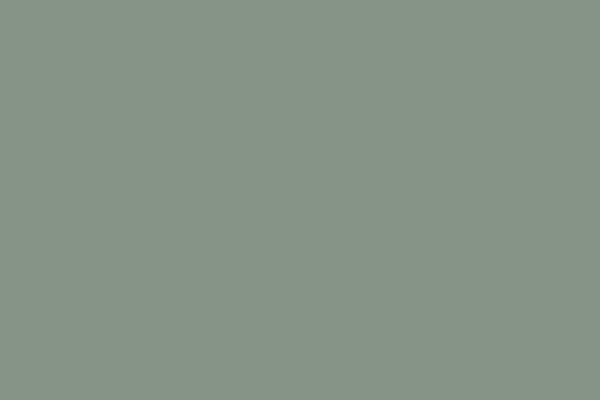 Weinert 2656 - Nitro-Acryl-Farbe RAL 7033 Zementgrau 25 ml Weinert 2656 - Nitro-Acryl-Farbe RAL 7033 Zementgrau 25 ml