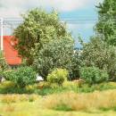 BUSCH 3607 - 3 Büsche, Sommer